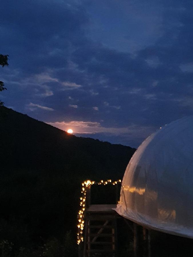 Hotel Sunrise Glamping Retreat Galesu Zewnętrze zdjęcie