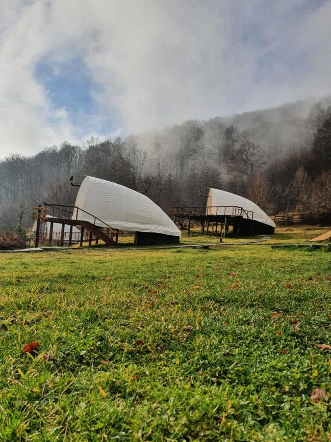 Hotel Sunrise Glamping Retreat Galesu Zewnętrze zdjęcie