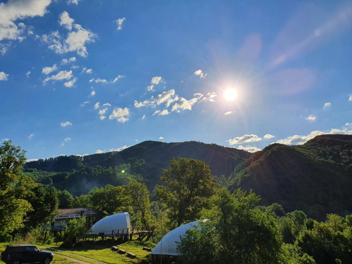 Hotel Sunrise Glamping Retreat Galesu Zewnętrze zdjęcie